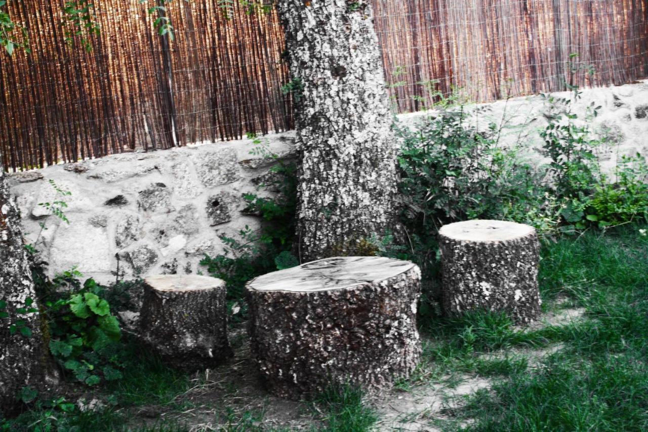Kemping Gredos Estelar *
